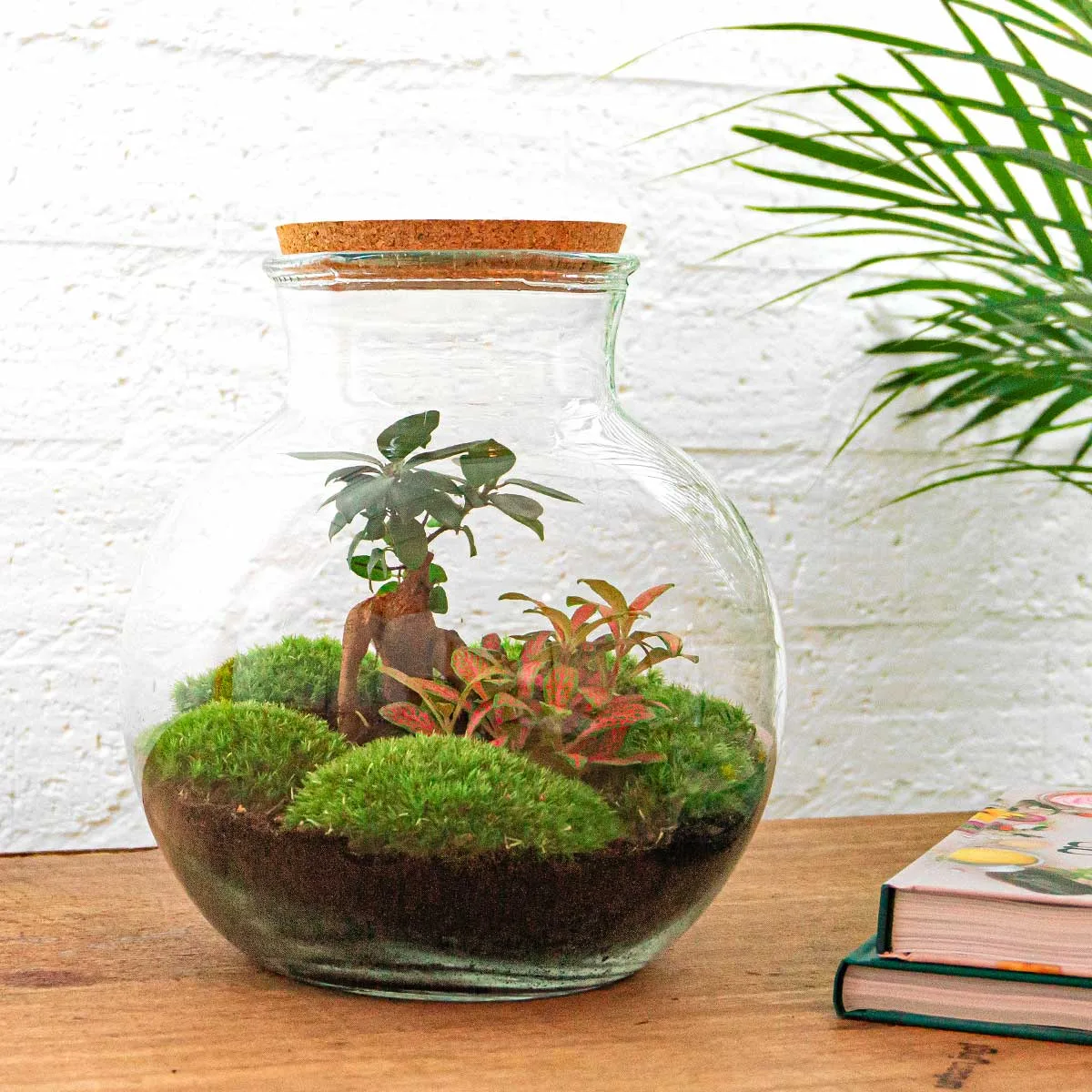 Zelf een planten terrarium maken?